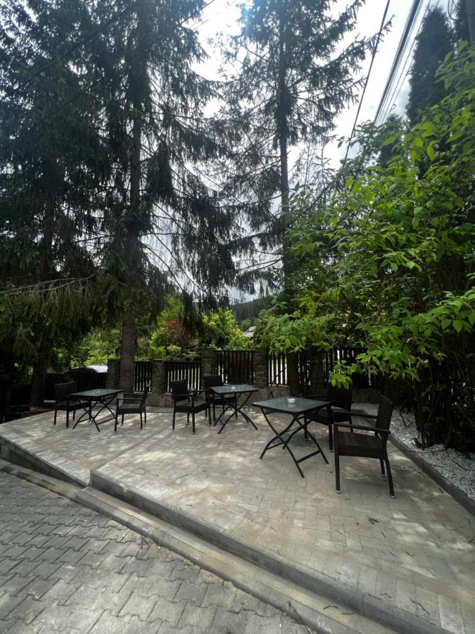 וטרה דורניי Chalet Minut מראה חיצוני תמונה